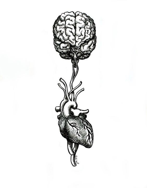 dcd4fb010326fc365c79b7b791e6cc0c